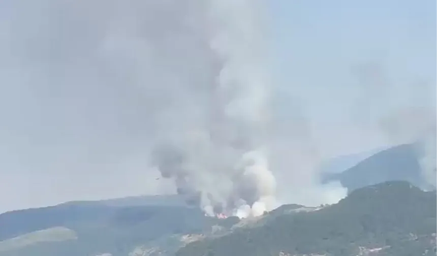 Balıkesir Sındırgı'da orman dışı alanda yangın!