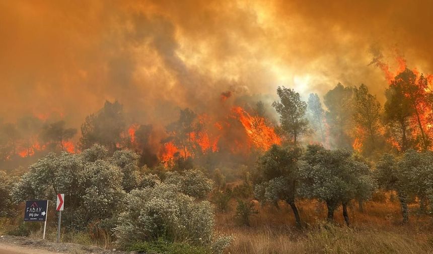 Beykoz'da yangına tutuklama