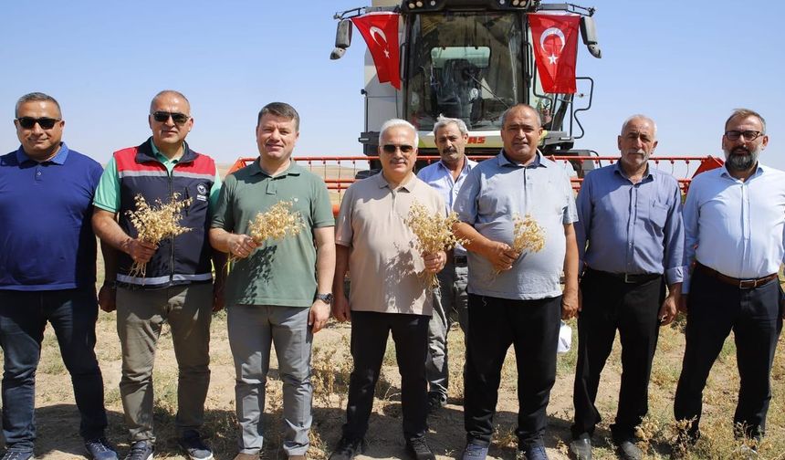 Boş araziler üretime kazandırıldı