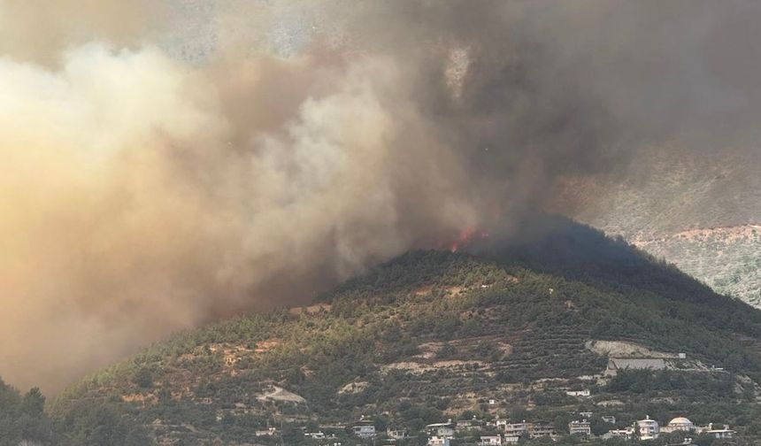 Hatay'da orman yangını