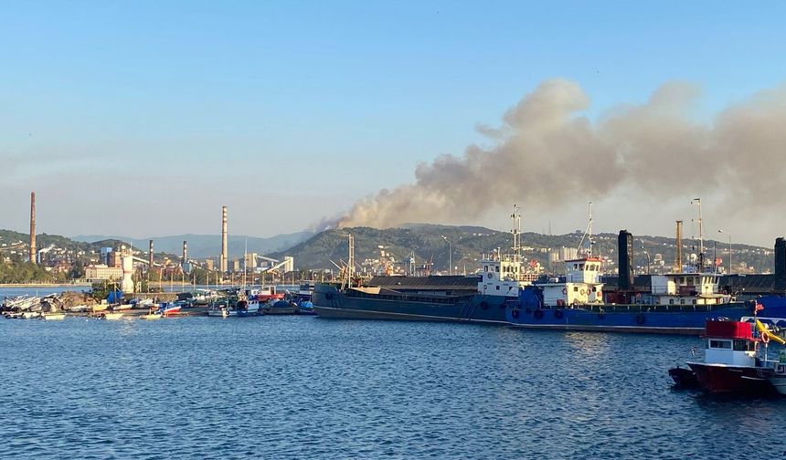 Karadeniz Ereğli'de orman yangını