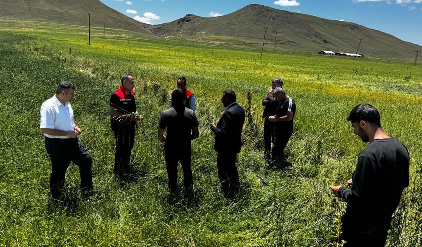 Kars Tarım ve Orman İl Müdürü Enver Aydın, Dolu Zararını Yerinde İnceledi