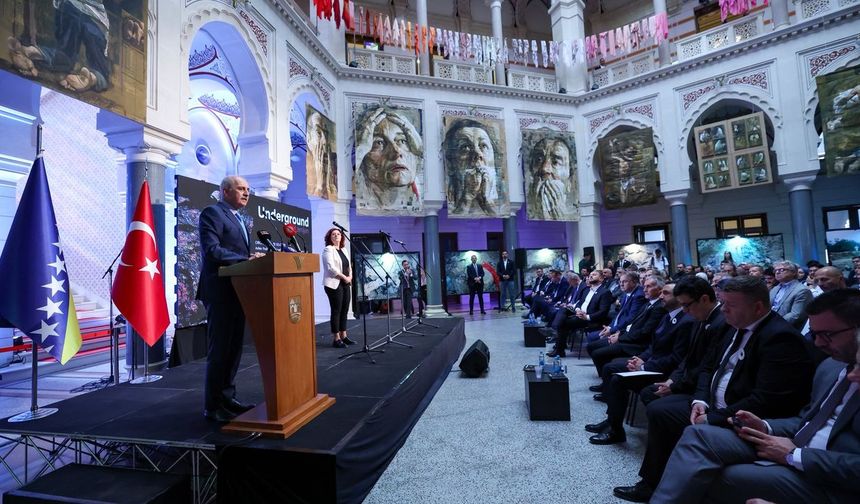 Srebrenitsa Soykırımı'nın 30. Yılında Anlamlı Sergi: "Yer Altında"