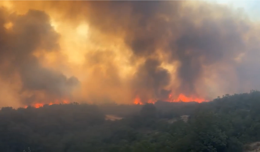 Bursa’nın Yenişehir ilçesinde orman yangını