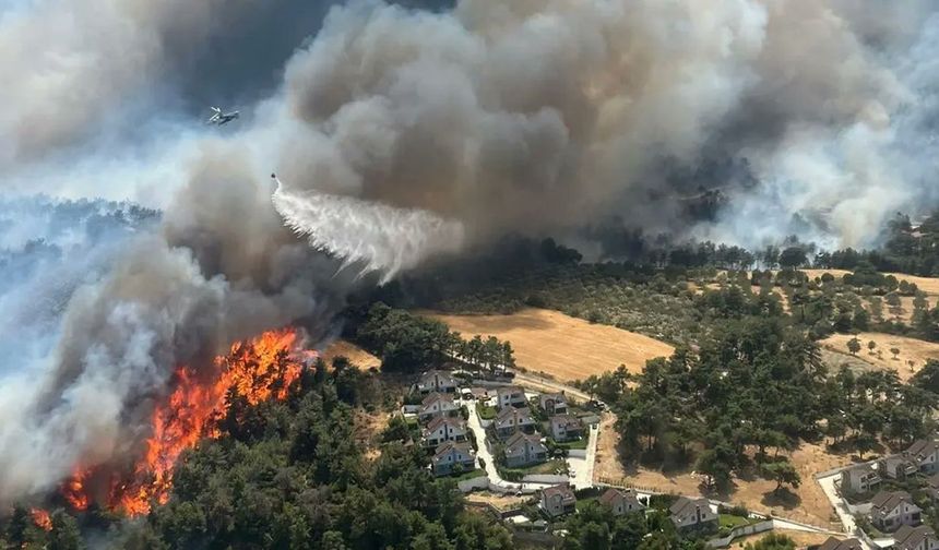 Çanakkale’de orman yangını: Üniversite yerleşkesi tahliye ediliyor