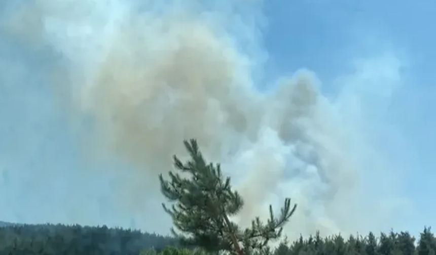 Çanakkale’de orman yangınına müdahale sürüyor