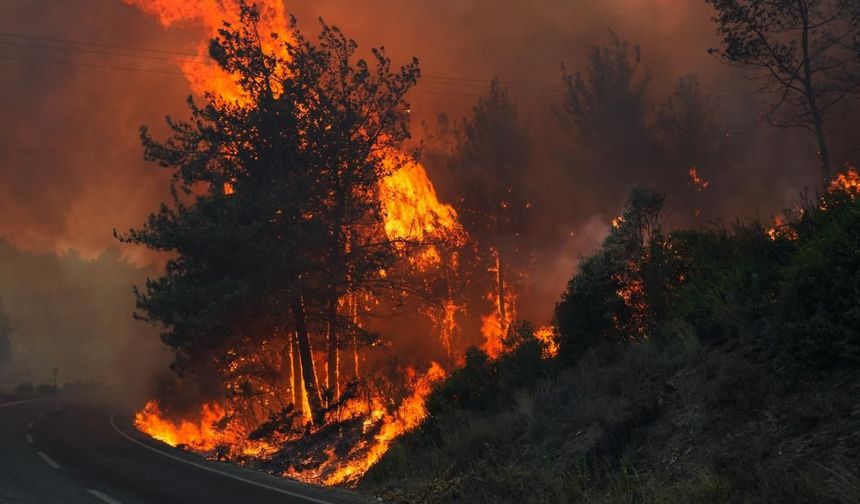 Çanakkale'de yangın büyüyor: Ev ve araçlar zarar gördü