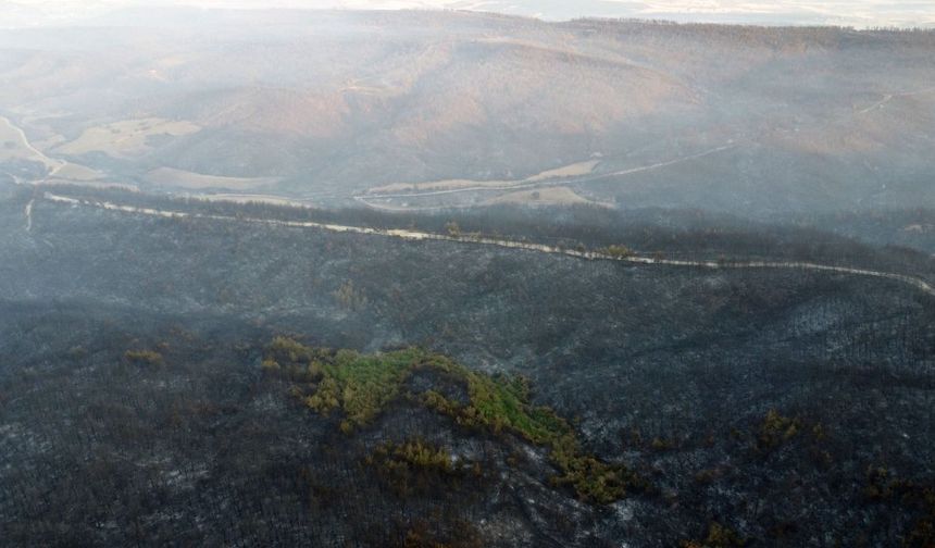 Gelibolu’daki orman yangını kontrol altında