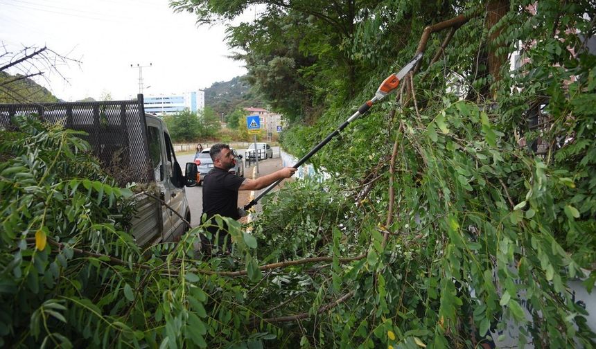 Giresun Belediyesi şehir estetiğine önem veriyor