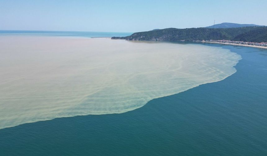 Sakarya sahillerine kırmızı bayrak çekilecek