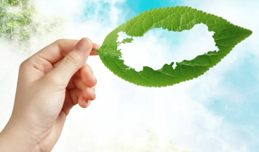 MEB'den 'yeşil vatan' seferberliği