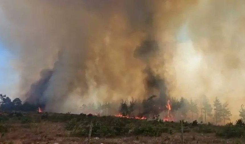 Düzce Yığılca’da orman yangını: Müdahale devam ediyor