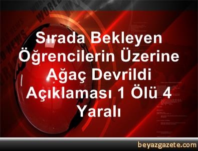 Muş&#039;ta bir okulun bahçesindeki kavak ağacı şiddetli rüzgar nedeniyle devrildi. Ağacın devrilmesiyle 1 öğrenci hayatını kaybetti, 1 öğretmen ve 3 öğrenci de yaralandı. İşte o korkunç olayın detayları... Muş merkeze bağlı Tekyol köyündeki ilk ve ortaokul öğrencilerinin eğitim gördüğü okulda, şiddetli rüzgar nedeniyle devrilen kavak ağacı, öğrencilerle öğretmenin üzerine düştü. Devrilen ağacın altında kalan ortaokul öğrencisi Eren Özkan yaşamını yitirirken, 1 öğretmen ile 3 öğrenci de yaralandı. Hastaneye kaldırılan 4 yaralıdan 1 öğrencinin de sağlık durumunun ağır olduğu bildirildi